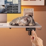 호몰 모션 데스크 1000x600mm