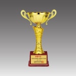 금속컵트로피베르다 판촉물 G6011