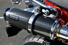 빔스모터 컴퍼니 Beams Motor Company R-EVO TYPE C 카본 정부 DAX125 8BJ-JB04 G1012-56-006