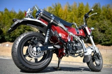 빔스모터 컴퍼니 Beams Motor Company R-EVO TYPE C 카본 정부 DAX125 8BJ-JB04 G1012-56-006
