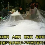 농업용 모기장 야채 방충망 얇은 대형모기장 과수원 대형 하우스 100m 10m 단면 26 80메쉬 암호화 1미터 너비 10미터 1 80메쉬 암호화... 