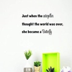 Design with Vinyl 1529 2 US V SOS 1200 2 35 x 71