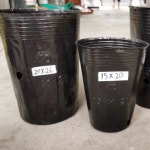 대형 비닐포트 모종화분 묘목 비닐 원형 포트 분갈이 대용량 천개 1 6 5 6 5 실제 6 5천 마리