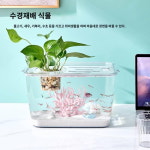 거북이항아리 플라스틱 어항 뚜껑이 고화질 투명 수족관 거북이 사육항아리 테이블 소형