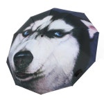 블랙 선물 전자동 중지 수동 자동 손가락욕 중지 우산 전자동 특이한 아이디어 전자동