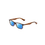 Ernest Hemingway Cat눈 Polarized 선글라스 in 호랑이 Tortoise 56 237 H4857