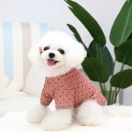 Lovin pet 강아지옷 조끼 패딩 가을옷 겨울옷 실내복 도트 S 1 5 2 5kg
