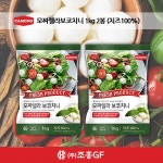 본델 까몽 까몽 보코치니 모짜렐라치즈 100 일 3시 이전 1kg 2개
