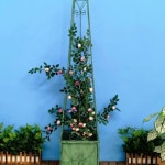 넝쿨 장미 지지대 울타리 식물 스탠드 철제 지주대 스몰 연두 구제