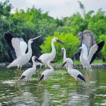 백로 조형물 조각상 녹지 리조트 상업용 저수지 관광 공원 펜션 스몰E타입 높이67cm