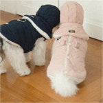 강아지 패딩 점퍼 귀돌이 누빔 겨울옷