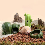 햄스터은신처 타핏 골든 하우스 세라믹 선인장 은신처