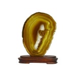 관상용 아게이트