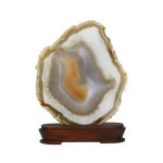 관상용 아게이트