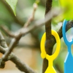 식물 나무 걸이형 고리 이름표 네임택 100p