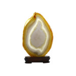 관상용 아게이트