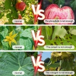 토양 NPK 온도 계량기 질소 인 영양제 비료 테스터 정원 온실용 4 in 1