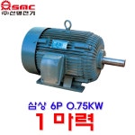 신명전기 TEFC 삼상 6극 0 75KW 1마력 모터 유도전동기 6P 전폐형 모터 삼상 0 75KW 1마력 6극 1개