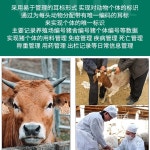 8 전동 염소 가축 펀칭기 라벨 커터 장착기 옐로 랜딩 이표 축산용품 태그 송아지 옐로 랜딩 커터