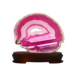 관상용 아게이트 15