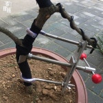 나뭇가지 구부리기 클램프 지름 탄소강 F4 직경 성형틀 초대형 스텐 교정기 이내 굽히기 분재 렌치 7cm이상 초대형 탄소강 7cm이상