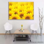 해바라기 그림 벽화 스티커 호프 화분 윈도우 도서관 인테리어 벽장식 롤스크린