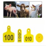 가축 목장 이표 송아지 장착기 100개 귀표 100개 축사 축산용품 축산 번호표 양돈 돼지 귀표 번호 01 50