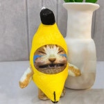 해피캣 바나나캣 키링 인형 우는 고양이 열쇠고리