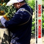 수확 가방 농업 단단한 복숭아 녹색 보니 바구니 과수원 키위 따기 플라스틱