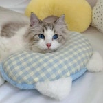 강아지 고양이 잠자리 베개 귀여운 벨벳 목 쿠션