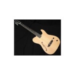 SCHECTER OL-FL-N-P SNTL 나일론 현 Oriental Line 셰
