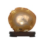 관상용 아게이트