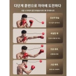 킥복싱 반응구 성인 훈련기구 헤드업 바운스 룸에서 킥복싱 헤딩복싱