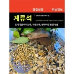 어항 바닥 모래 조경 전용 천연 수조 바닥 돌 수초 장식 모래 원생 계류석
