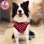 강아지 설날 옷 스웨터 겨울 크리스마스 골든 트리밍 거물 사모코키비 곰돌이 푸들 스커트