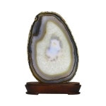 관상용 아게이트