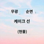 왕씨네 집 면 100 현물