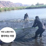 어망저인망청당망2지3지4지12가닥저인망저인망저인망저인망저인망어당저인망