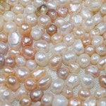 천연 진주 분쇄 약용 진주 500g 어항 화분 돌맹이 공양