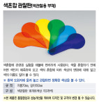 색혼합 관찰판 색관찰용부채 MST-3557
