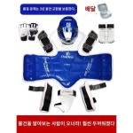 태권도 호구 풀세트 호신아동 69피스 헬멧 경기형 호갑 실전세트 장비 마스크