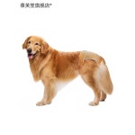 골든 중형견 강아지 생리팬티 패드 소형견 기저귀 커버 리트리버 대형견