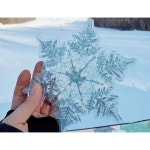 스노우보드 스텀패드 미끄럼방지스티커 스텀 패드 눈꽃 01 투명 프 베니어 흰색 스노우 방지 보드 투명 눈꽃
