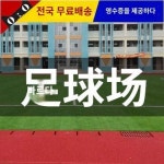 축구장 인조잔디 시뮬레이션 가짜잔디 전문학교 운동장 매트 그린잔디 아웃도어