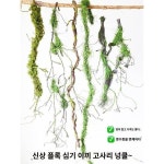 모던한 디자인 공공장소 풍부한 즐거움 공원조경
