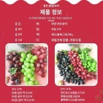 인조 플라스틱 포도 청왕청 홍조 가짜 과일 장식 인테리어