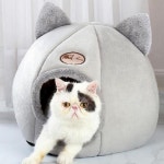 동굴집 강아지 강아지집 애견 고양이 겨울 하우스