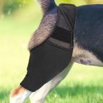 예방 강아지 통깁스 슬개골 고관절 보호대 스트랩 L 탈골