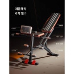 훈련 헬스장 홈트레이닝 트레이너 건강 필라테스 볼