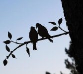 벌새 현실적인 디딤석 모델 단철 스탠딩 금속 새 새 아트 장식 마당 풍경 장식 D